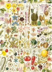 Puzzle Botanical Bliss 1000 Pieces