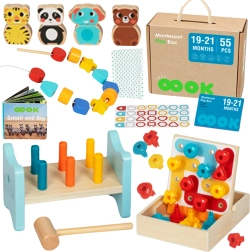 Montessori hariv õppekarp lastele 19–21 kuud - TOOKY TOY