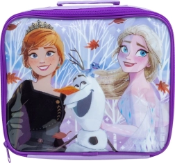 Frozen insulated lunch bag
