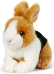 Pruunikas-must-valge plüüsjänku 15 × 17 cm