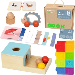 Montessori karp XXL Tooky Toy lastele 7–8 kuu vanuselt