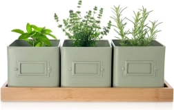 GREENISH Herb Planter Set with Stand, 3 pcs