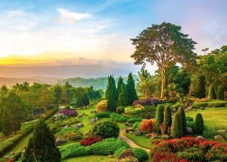 ALIPSON Puzzle Garden on the Hill 1000 pieces
