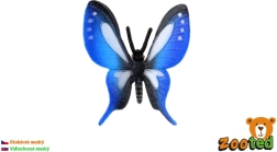 Troopilise sinise liblika Papilio kujuke Zooted - 1 tk