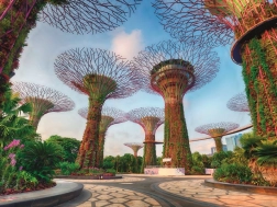 Ravensburger Puzzle Super Trees in Singapore 1500 pieces