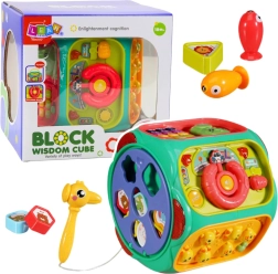 Interactive Educational Cube 8-in-1