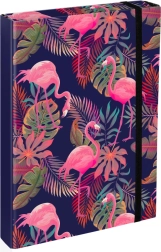 BAAGL A4 Jumbo koolivihikute kaaned flamingomustriga