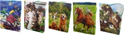 A5 Notebook Box with Elastic 3D Mix