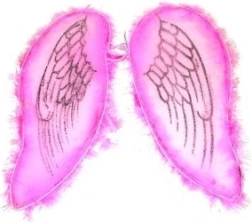 Roosad tiivad ingli ja haldja jaoks