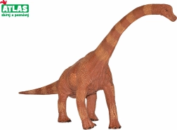 Dinosauruse figuur Brachiosaurus 30 cm