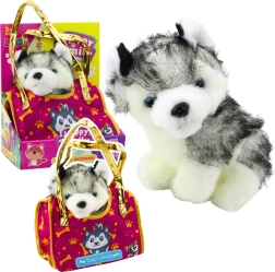 Plüüskoer Husky kotis