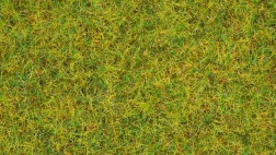 Static Grass Summer Meadow 2.5 mm