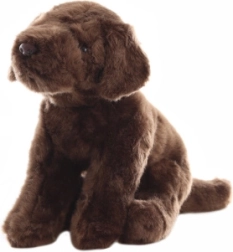 Pehme labrador 30 cm