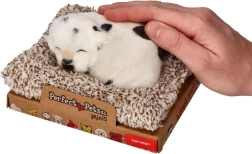 Haukumas dalmaatslane pesal