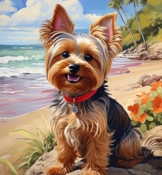 Teemantmaal „Yorkshire terrier rannal“ 30 × 40 cm