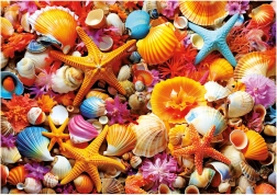 Puzzle Shells 1000 pieces EDUCA