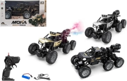 Kaugjuhtimisega auto laadijaga