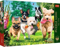 Trefl Puzzle Premium Plus Tea Time: Koerte lustlik kamp aias 1000 tükki