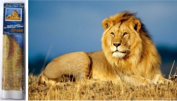 Teemantmaal Lioni majesteet 30×40 cm