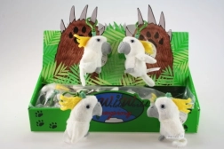 Pehmiklips papagoi (kakadu)