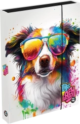 A4 Jumbo vihikukarp koera motiiviga