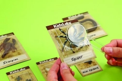 Hariduslik kaevamiskomplekt – putukad