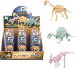 Dinosaur Skeleton in a Transparent Tube