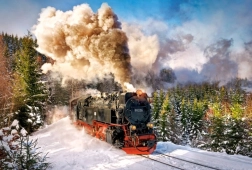 Pusle 1000 tükki Steam Train