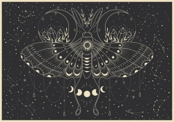 Puzzle Galaxy: Moon Butterfly 500 Pieces