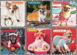 200-Piece Puzzle – Happy Dogs – Trefl