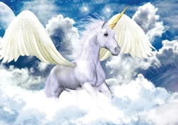 Pusle Pegasos taevas 1000 tükki MAGNOLIA