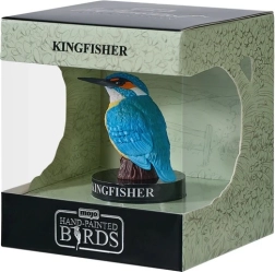 Mojo jäälind (Alcedo atthis) kinkekarbis