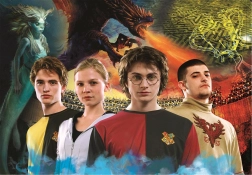 Pusle 1000 tükki HARRY POTTER
