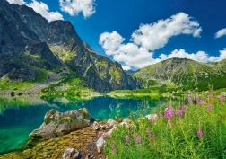 Puzzle Black Pool under Rysy, Tatras 500 pieces