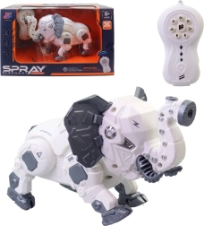 Kaugjuhtimisega robotelevant