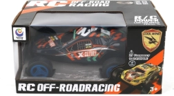 RC Car 1:24