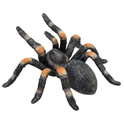 MOJO Smithi-roomiku kujuke