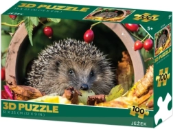 3D Hedgehog Puzzle