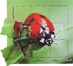 Just Jigsaws puidust kihiline pusle Lepatriinu ja tema elutsükkel 19 osa