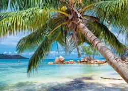 Tropical Beach Puzzle 1000 Pieces