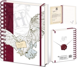 Harry Potteri rõngasköites märkmik Special Delivery