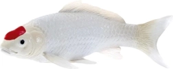 Mojo koi karpkala Tancho figuur