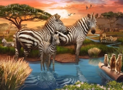 Zebrade pusle 500 tükki