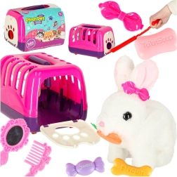 Interaktiivne Jänkuke porgandiga