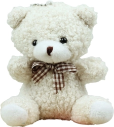 Valge plushist karu võtmehoidja 8 cm