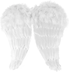 Inglitiivad sulgedega