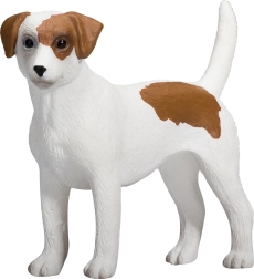 Jack Russelli terjeri koera figuur