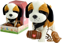 Interaktiivne bernhardin rihma otsas koos kuudiga