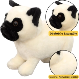 Valge plüüs-mops 19 cm