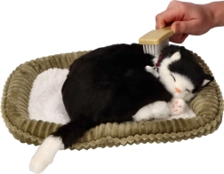 Adopteeri mind hingav mustvalge kassike